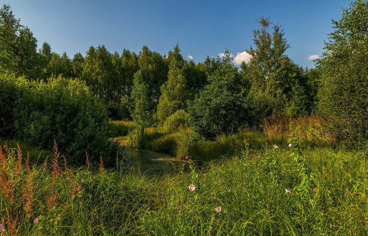 Жара июль 3 - Андрей Дворников