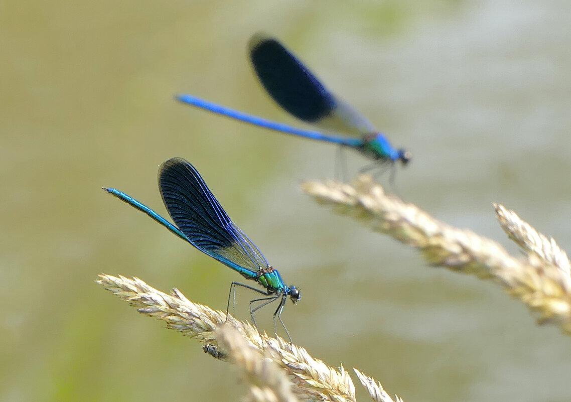 из сегодняшней съемки 5 - Александр Прокудин