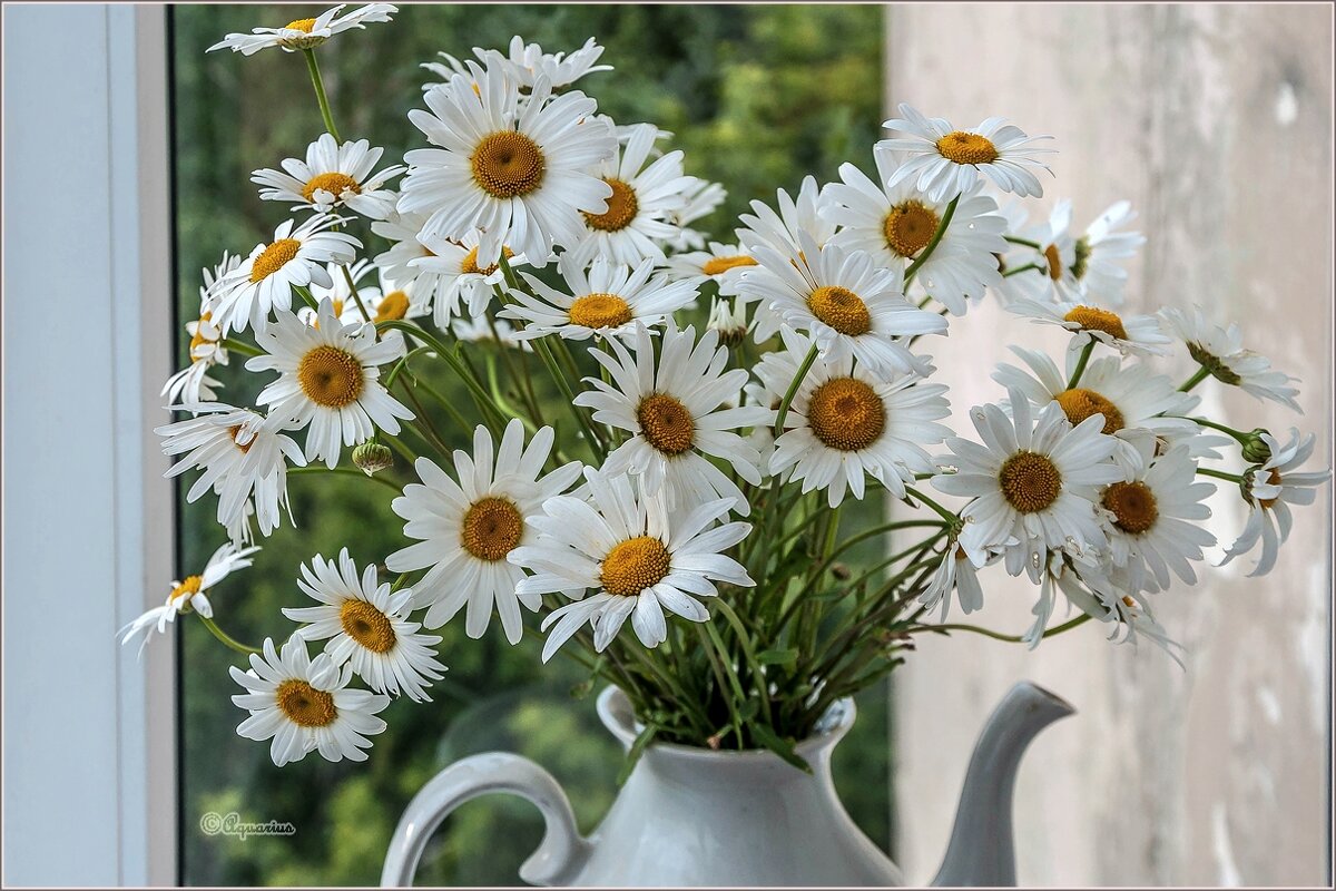 Букет - Aquarius - Сергей