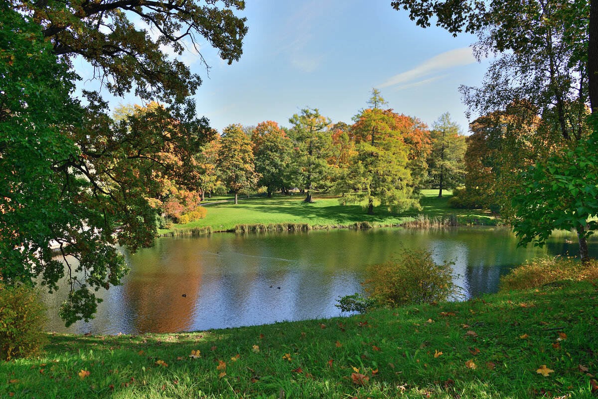 *** - Александр Хаецкий