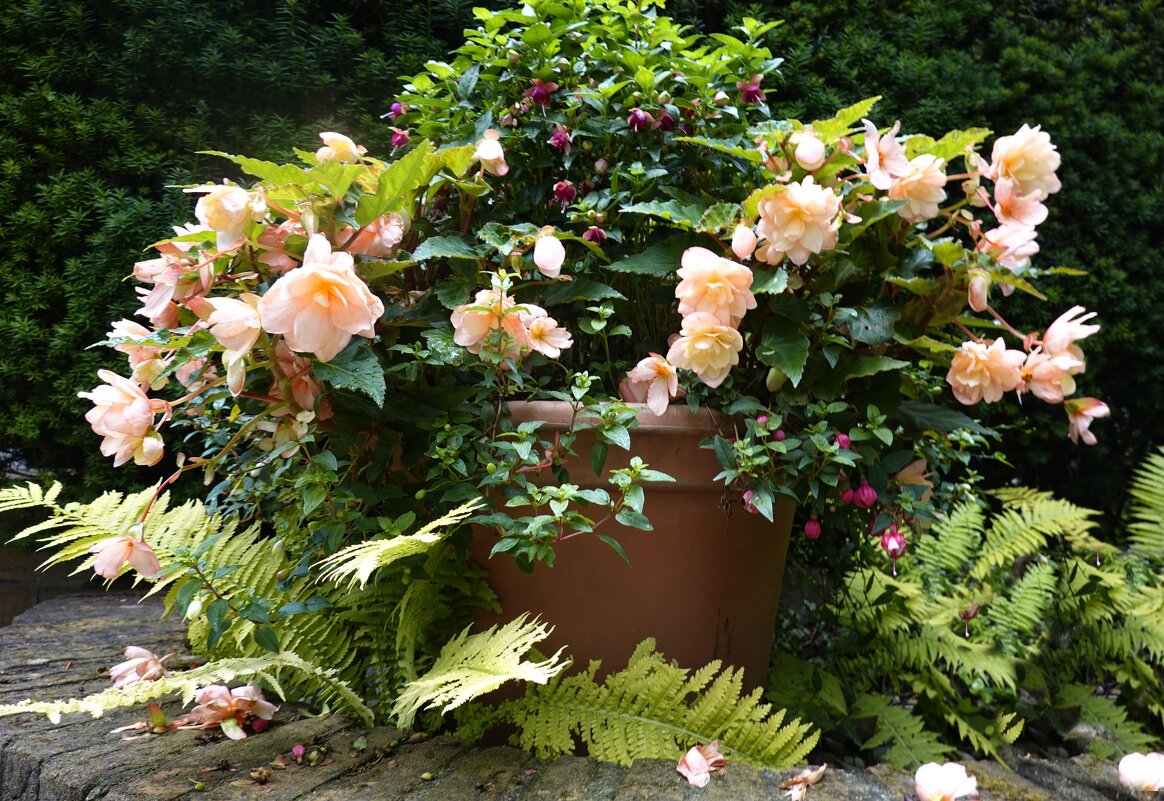 ... - Галина ... - Галина