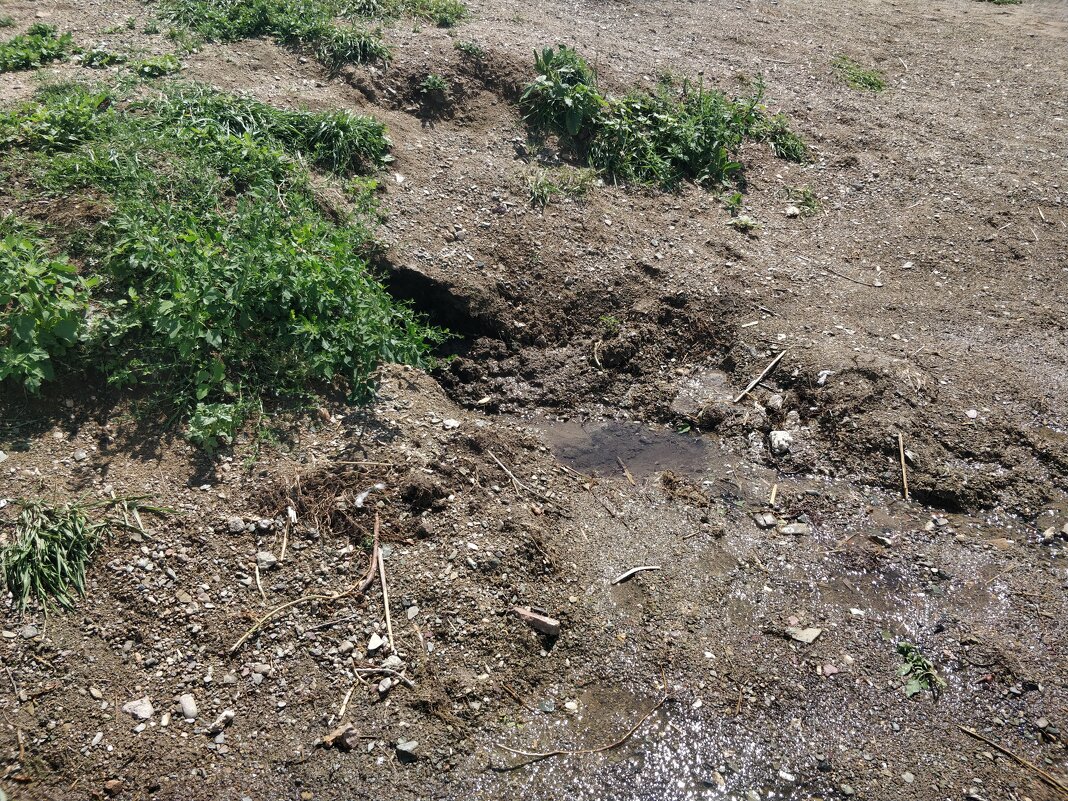 Родничок - Андрей Хлопонин