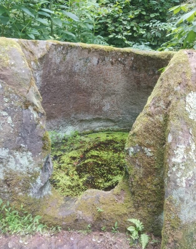 Дольмены Сочи - Tata Wolf