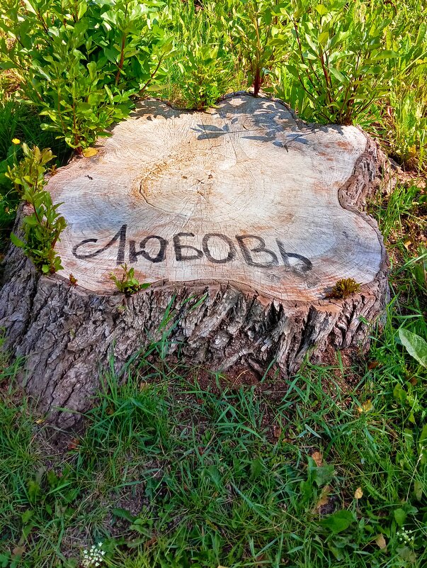 Встреча с любовью)) - Виктор 