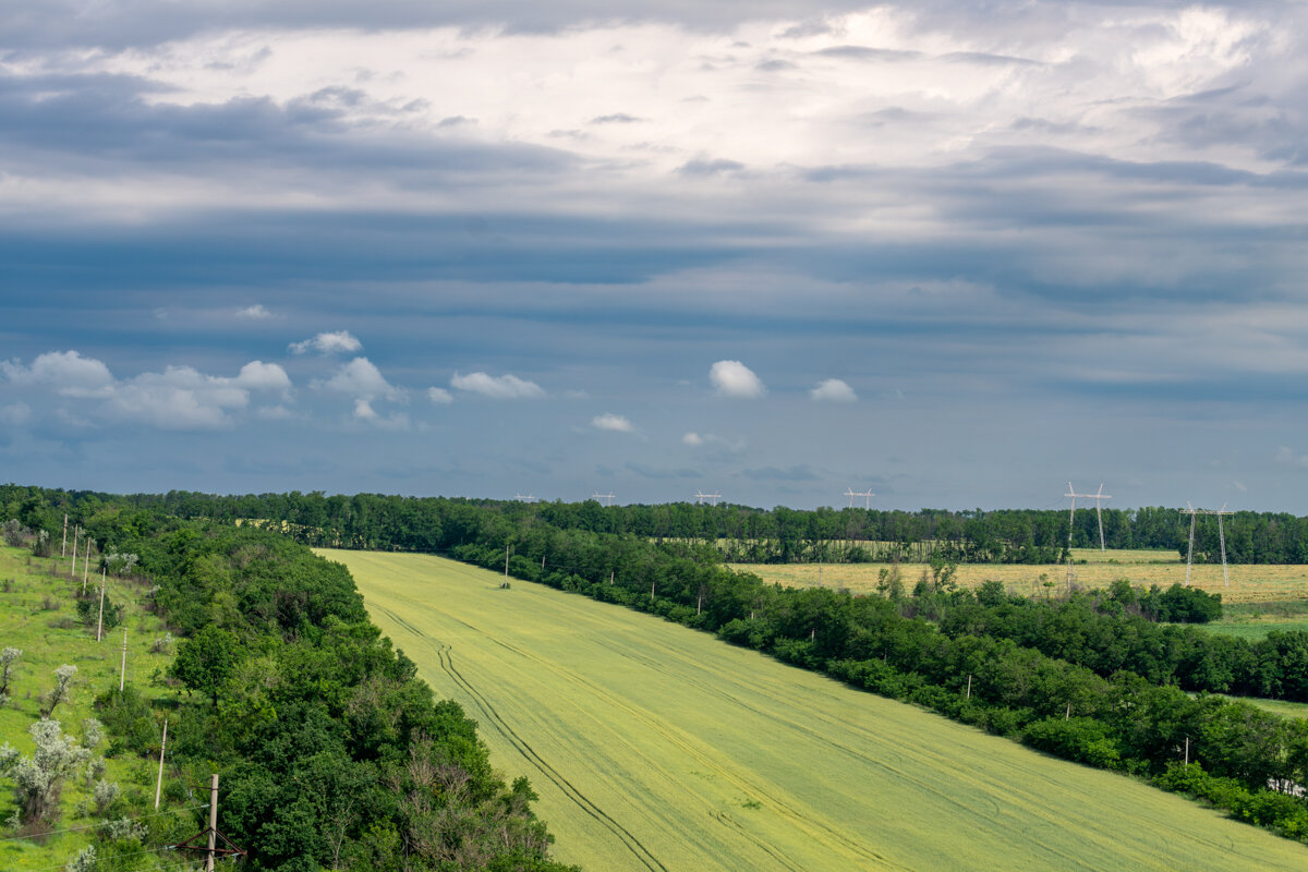 Окрестности - Игорь Сикорский