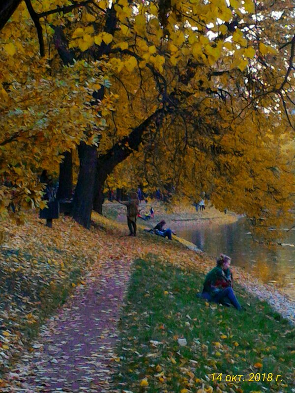 Осенняя зарисовка - Натали 