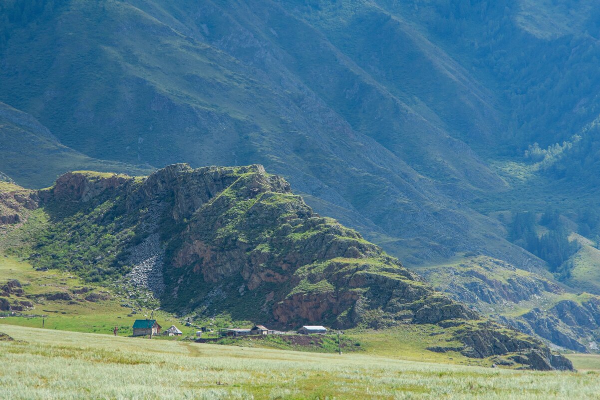 *** - Николай Чекалин