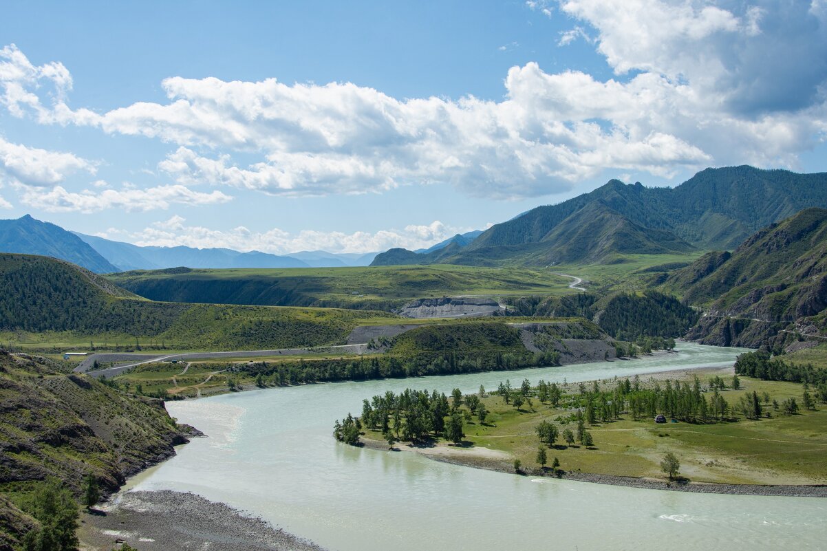 *** - Николай Чекалин