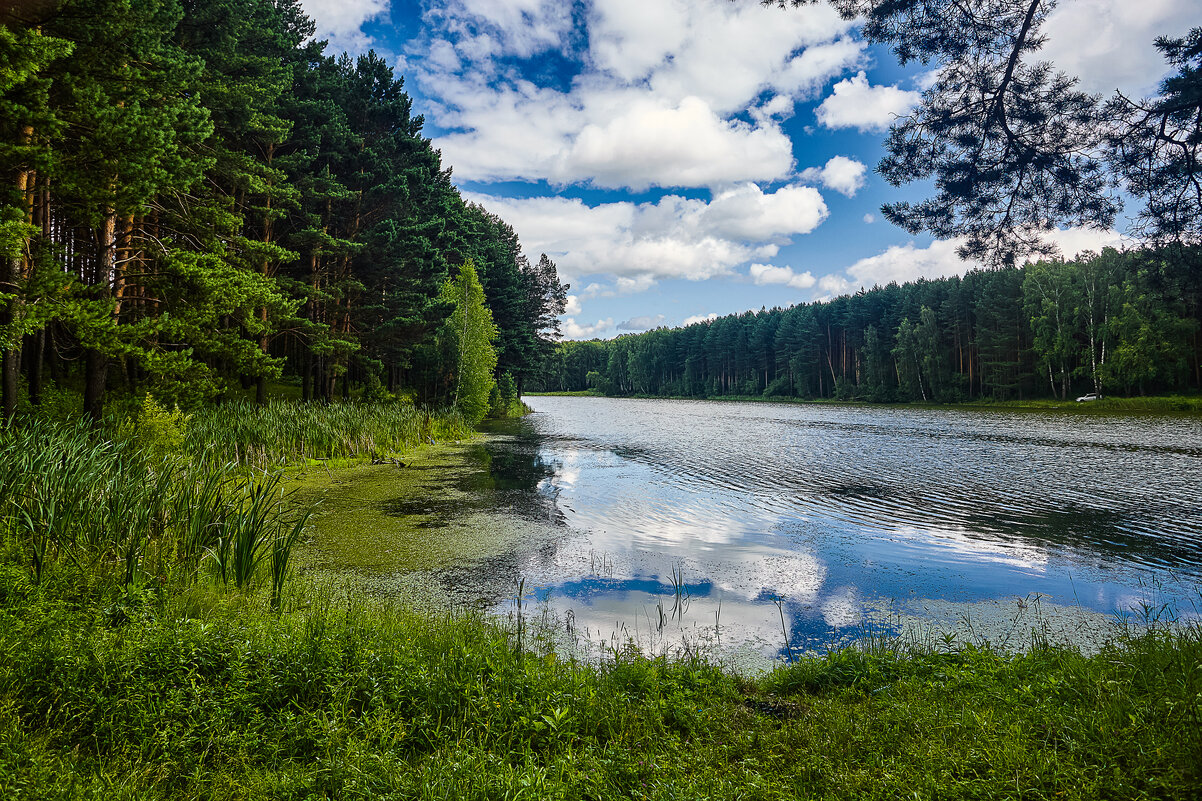 Ижморский пруд - Cергей Александров