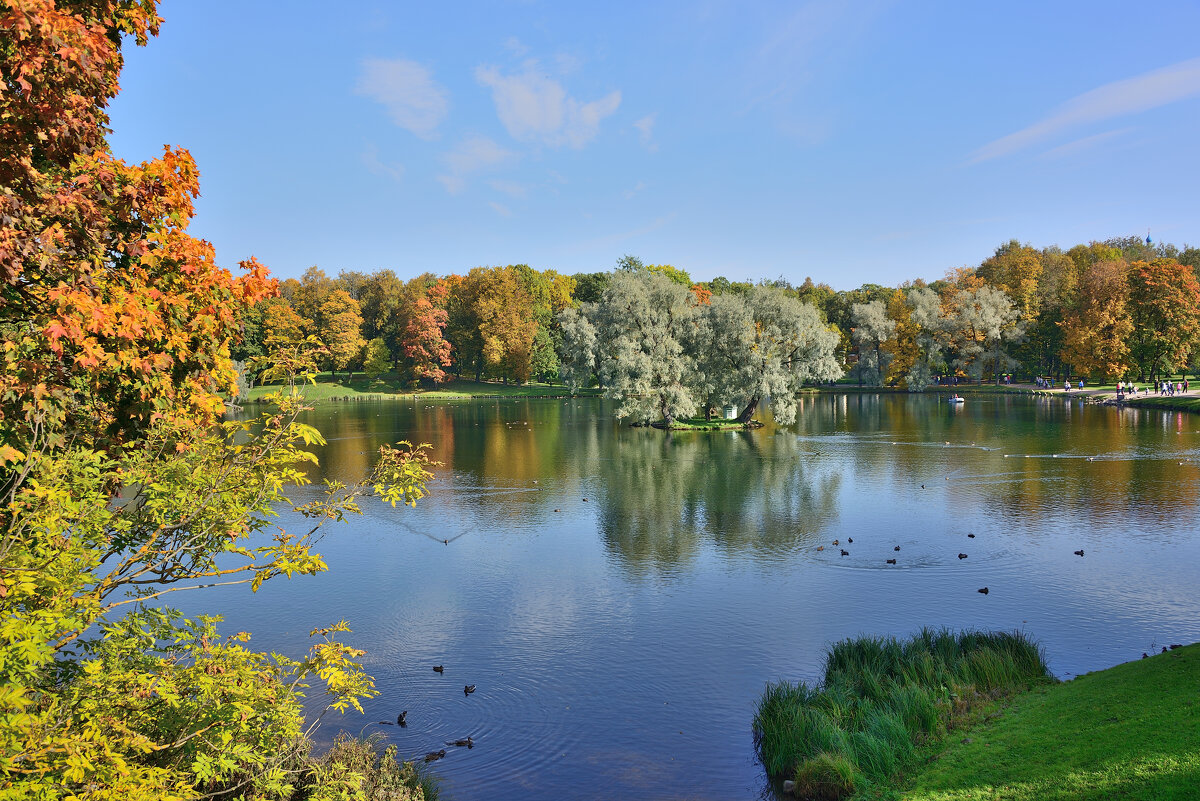 **** - Александр Хаецкий **** - Александр Хаецкий