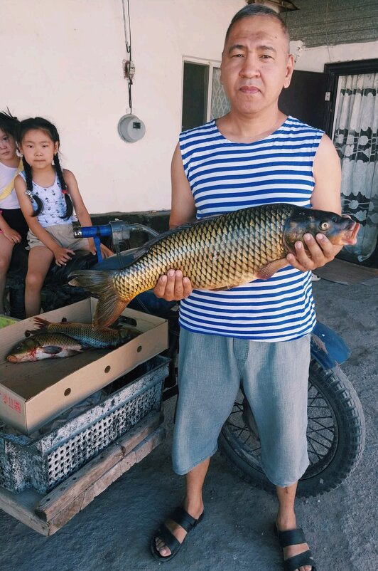 Рыбак - Георгиевич 