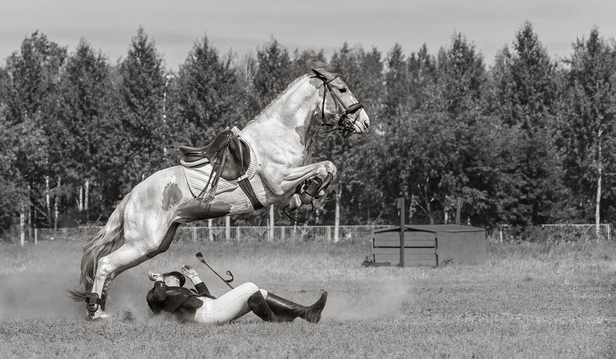 Конкур - SanSan 