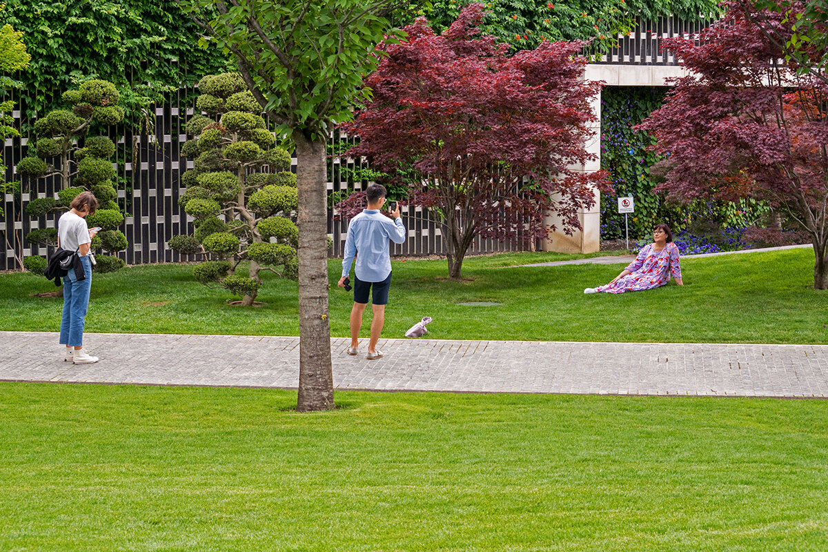 Парк Галицкого - Игорь Сикорский