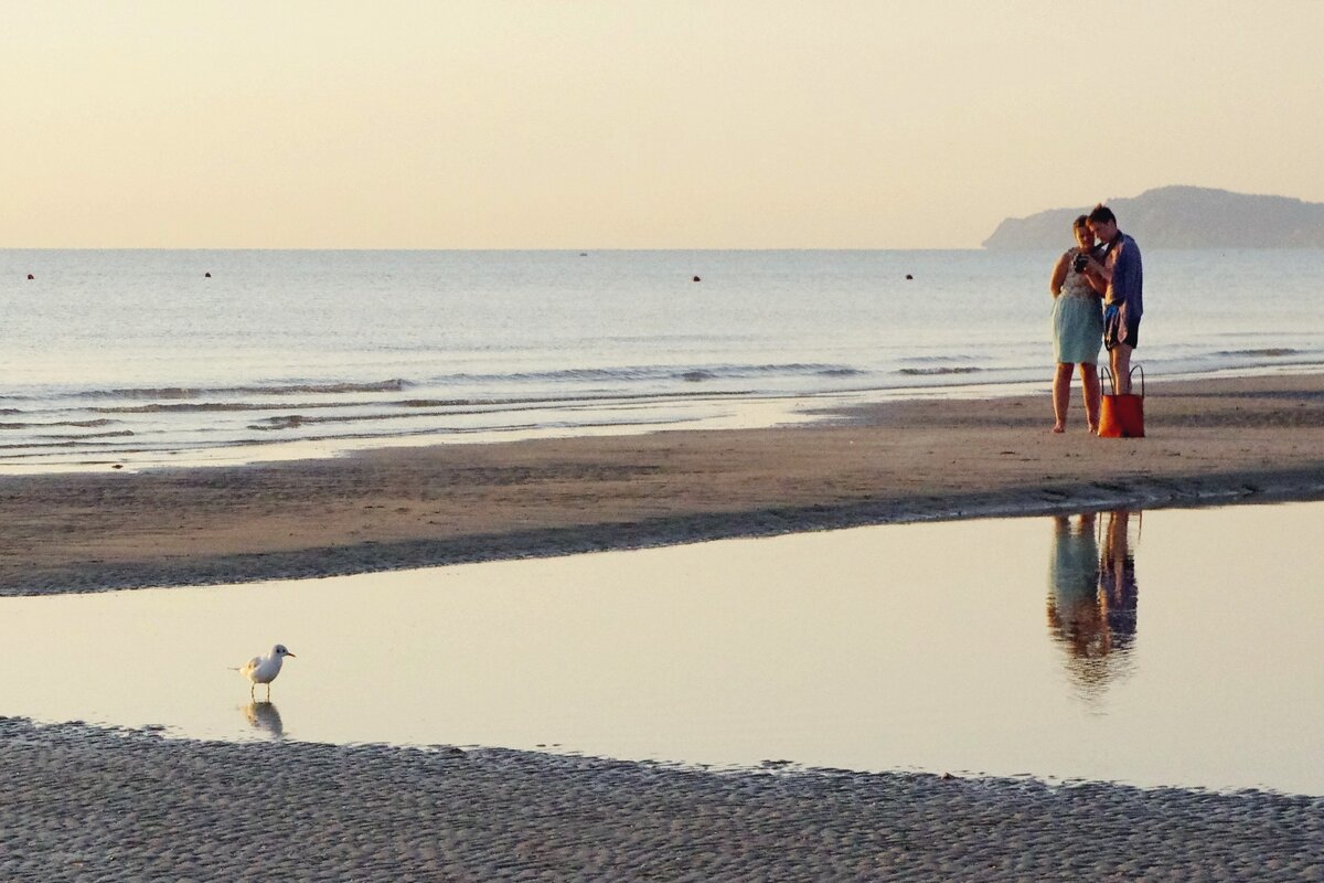 Любопытная чайка - Сергей Швечков