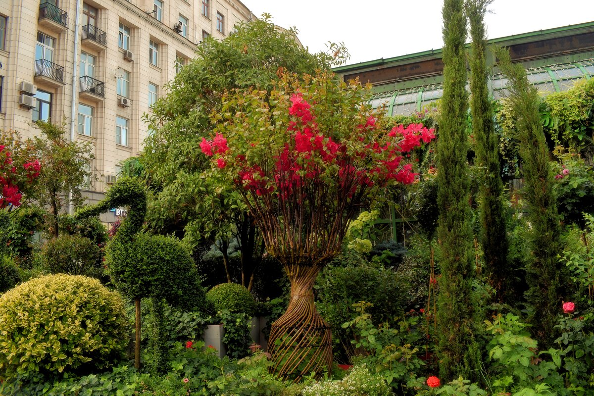 Фестиваль Лето в Москве" продолжается. - Татьяна Помогалова