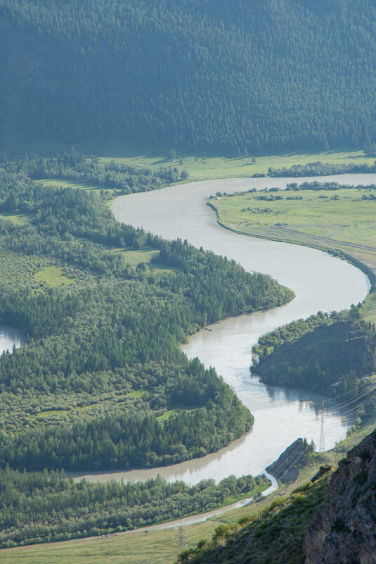 *** - Николай Чекалин