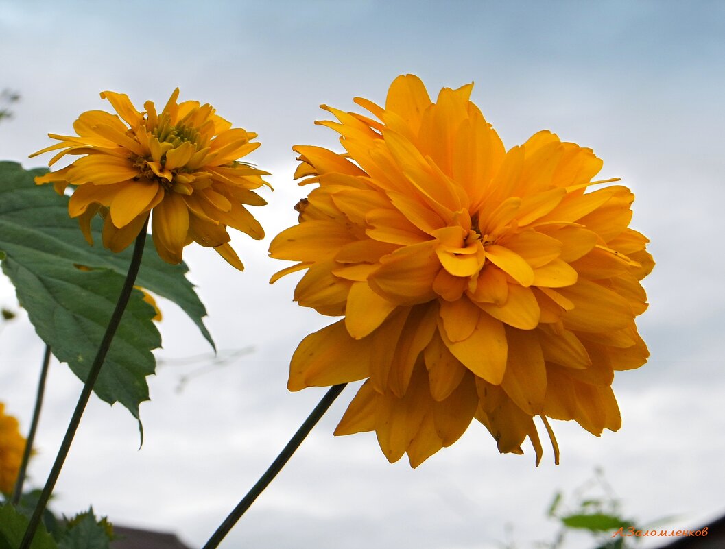 Когда кончается июль... - Андрей Заломленков
