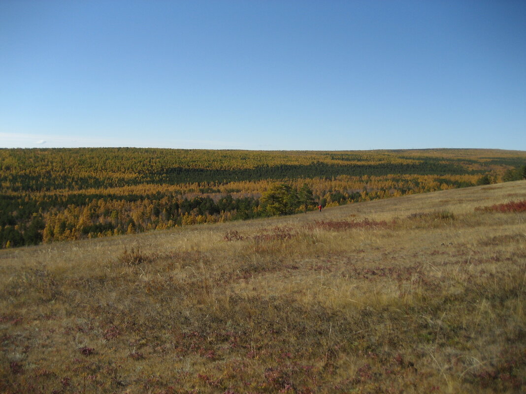 Осень - Anna Ivanova