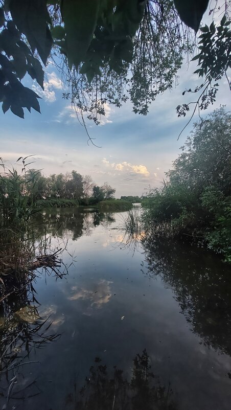 Река Дон - Оксана Н.