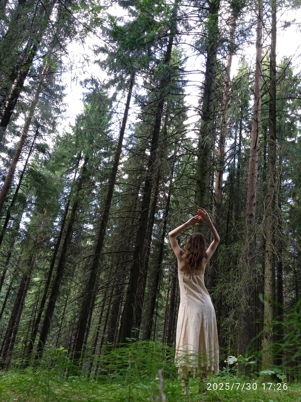 Дух леса - Светлана Лапка