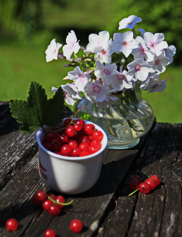 Летняя композиция с флоксами.. - Татьян@ Ивановна Летняя композиция с флоксами.. - Татьян@ Ивановна