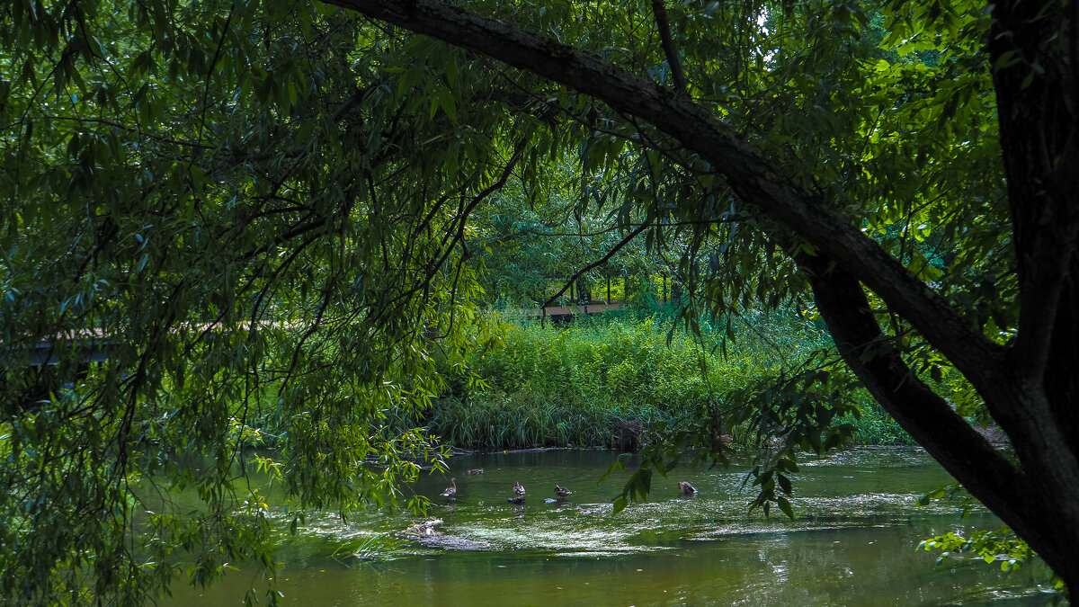 ***** - юрий поляков