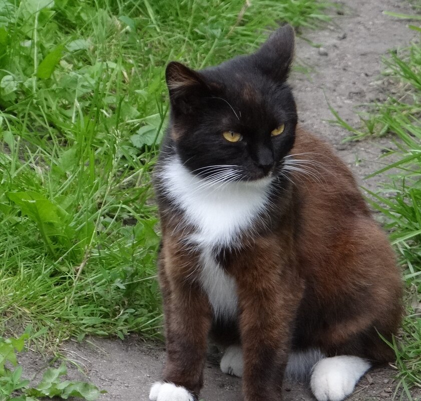 Кузьмич - Антонина Гугаева Кузьмич - Антонина Гугаева