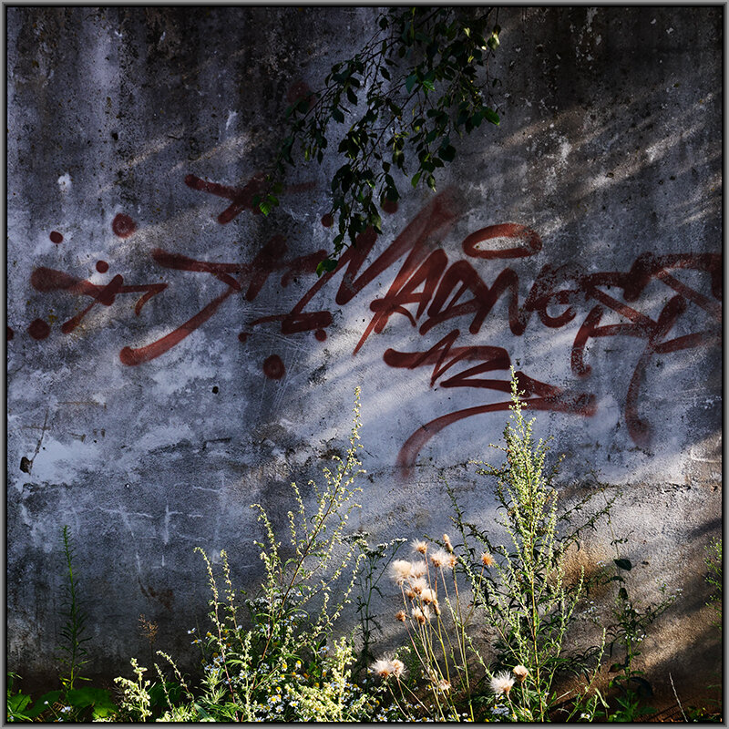 Случайное - Сергей Премонишын