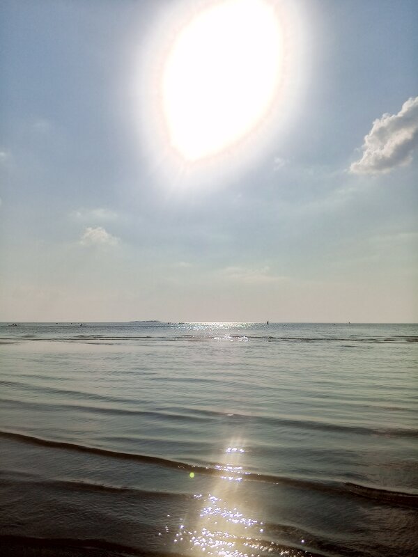 Залив - Сапсан 