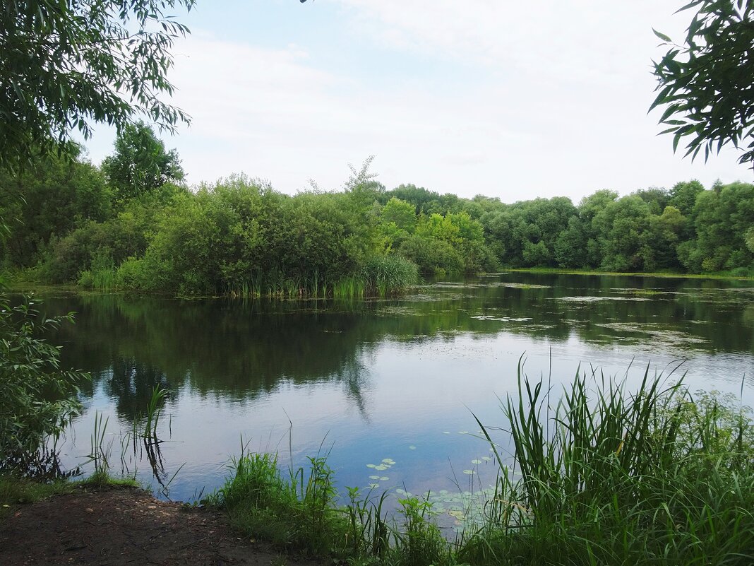 Островок - Лидия Бусурина Островок - Лидия Бусурина