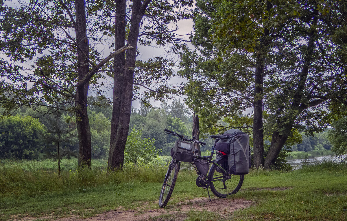 Из дальних странствий возвратясь - Сергей Цветков