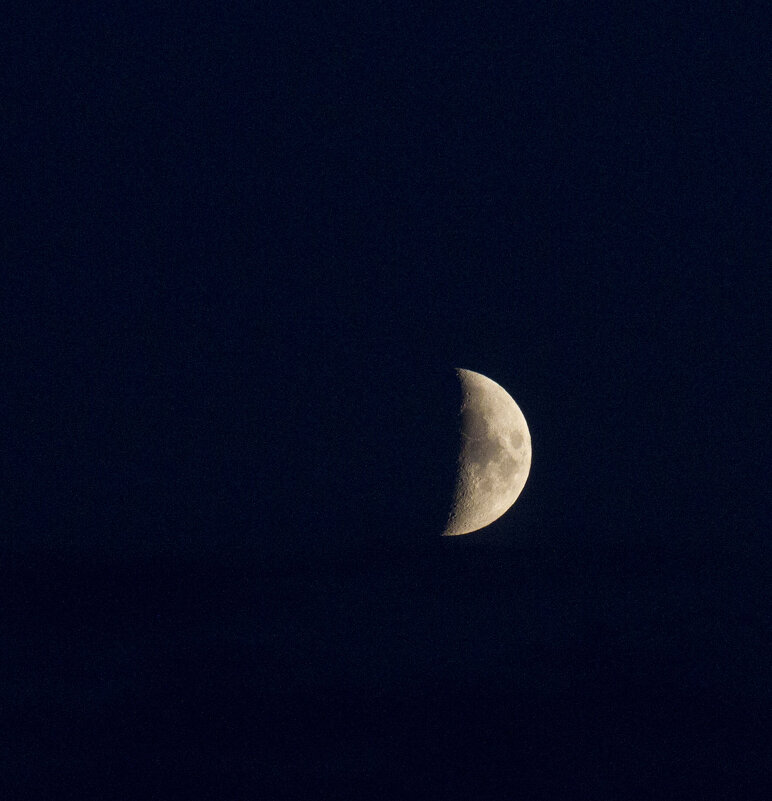 Вечерняя - Олег Денисов