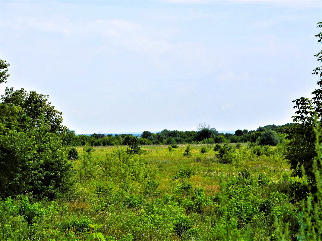 Алатырь. Западные окрестности города. - Пётр Чернега Алатырь. Западные окрестности города. - Пётр Чернега