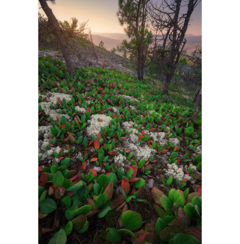 * - Александр Иванов