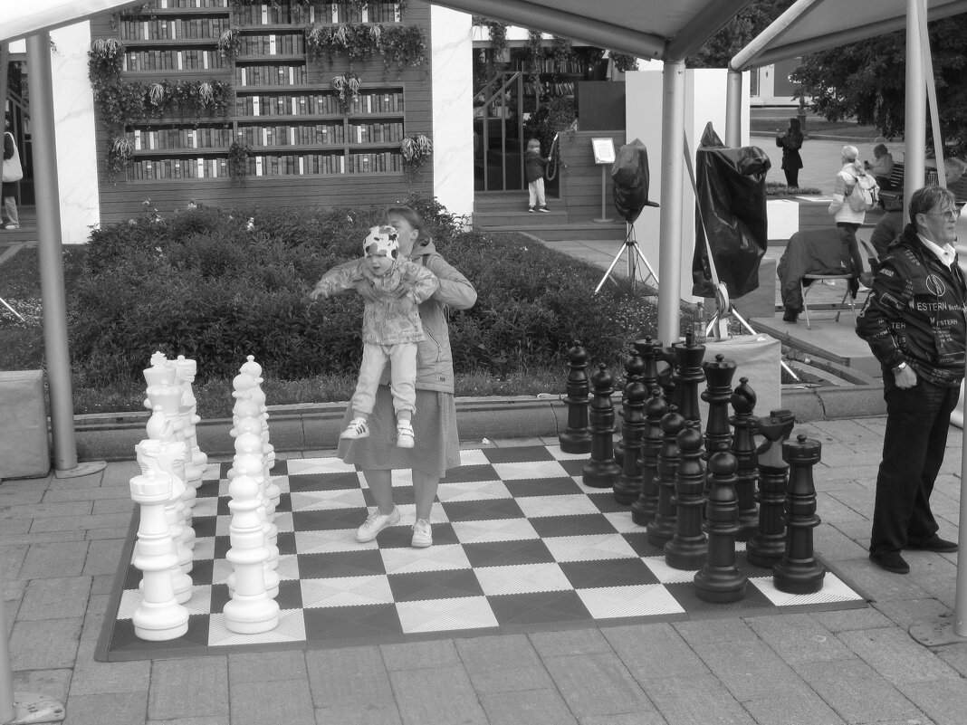 Лето в Москве. Шахматный сквер - Дмитрий Никитин