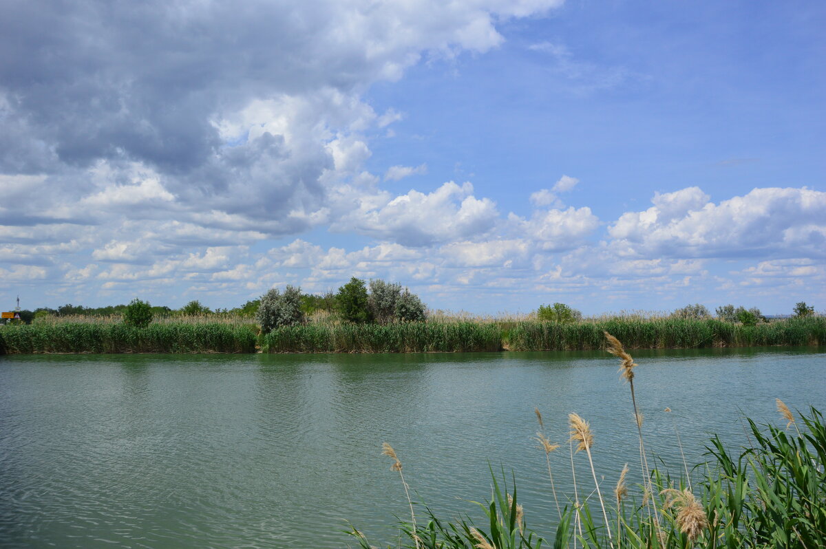 Местная река. - Виктор 