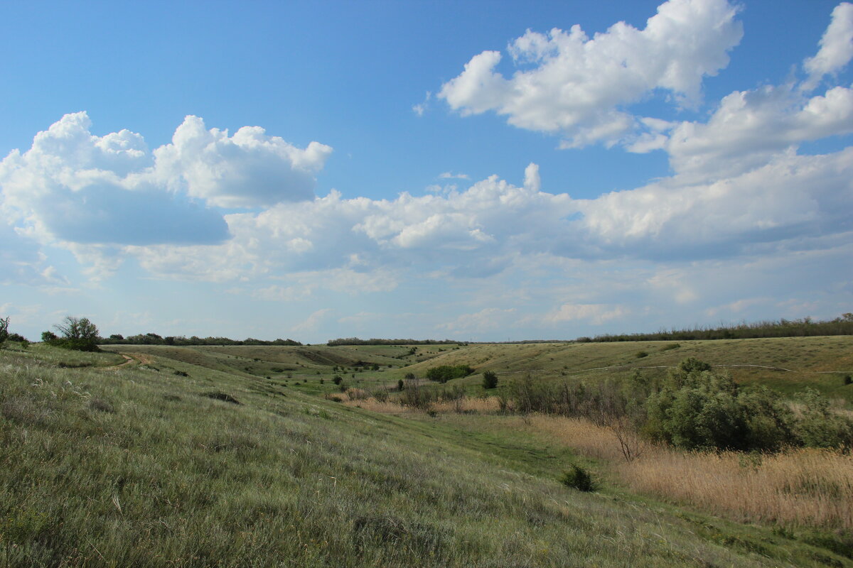 В степи. - Виктор 