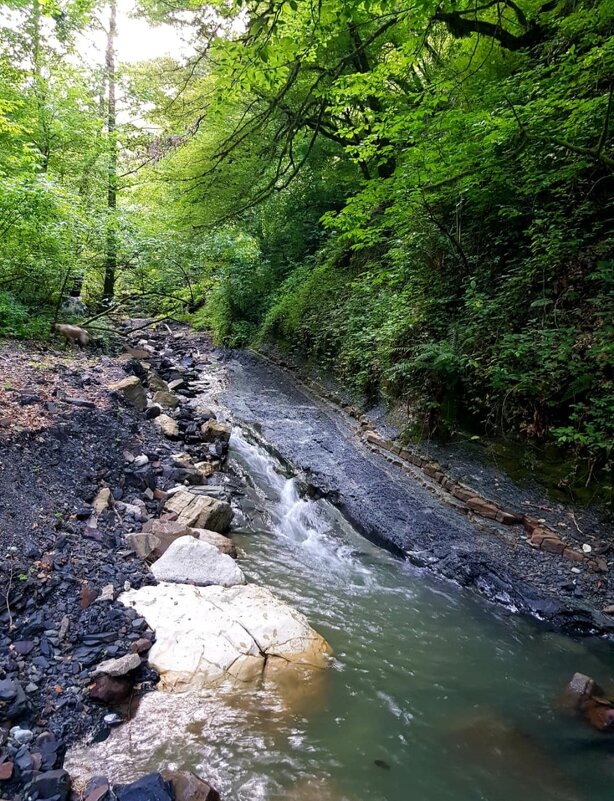 РУЧЕЙ - Tata Wolf