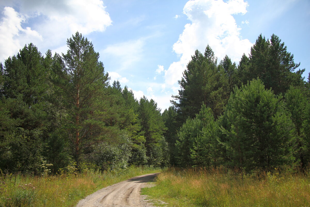 дорога... - Андрей Катков