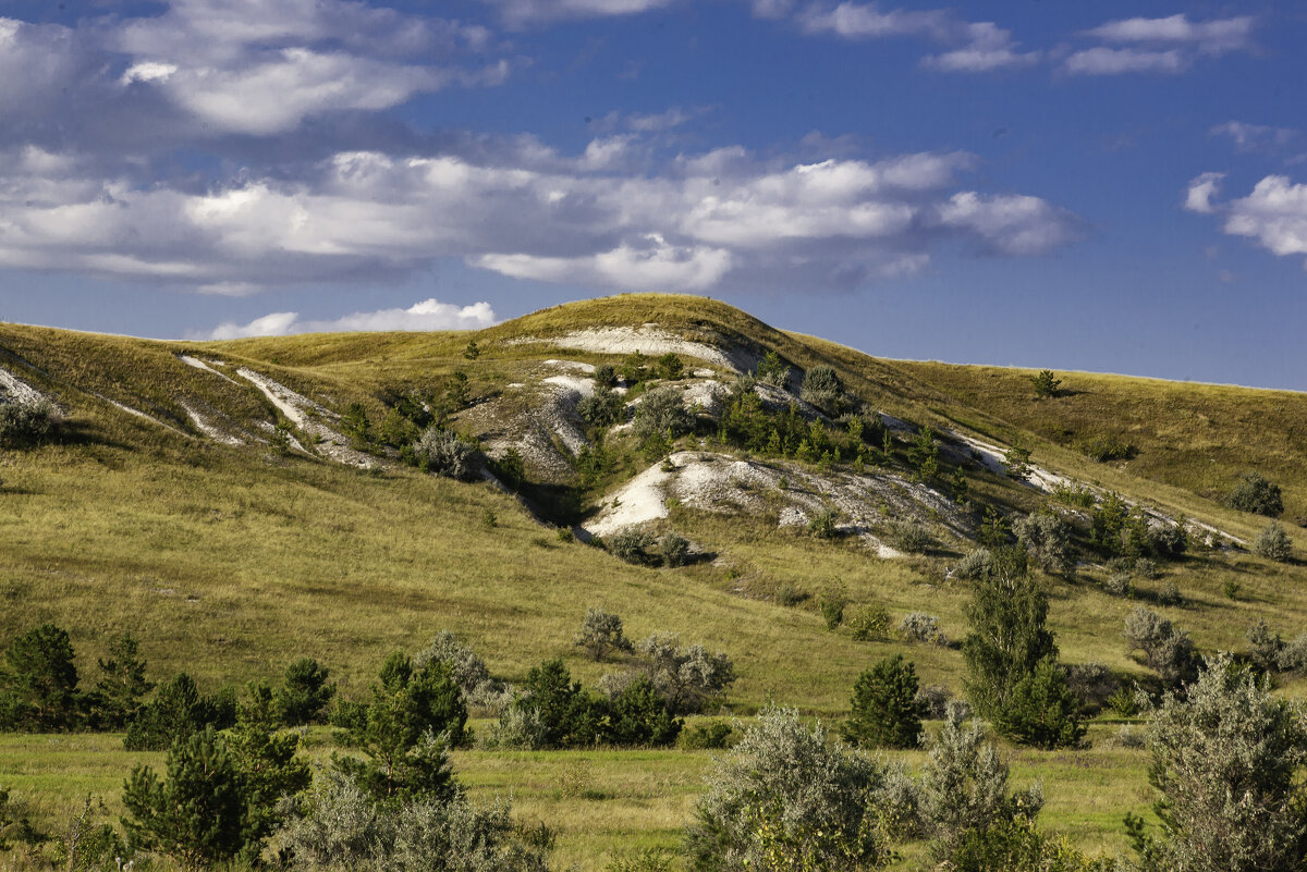 Меловые горы возле села Тушна - Евгений Анисимов