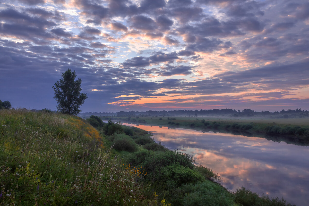 **** - Елизавета .