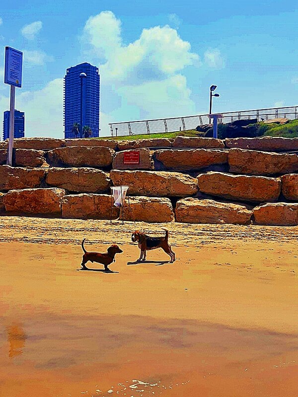 ВСТРЕЧА   ДРУЗЕЙ - Анатолий Малобродский