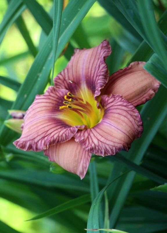 Вот и август - Наталья Герасимова