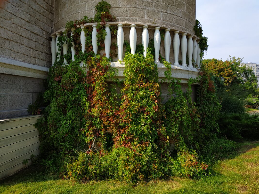 Скоро осень,за окнами - август - Андрей Лукьянов