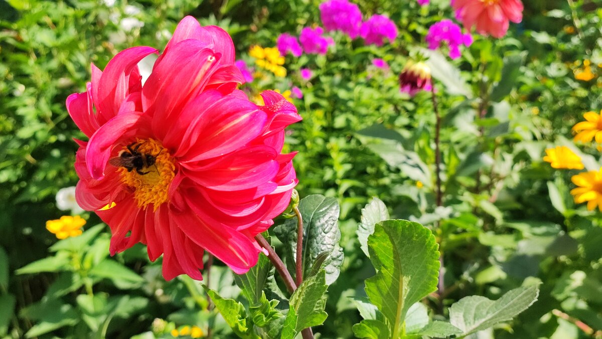 ,,,, - Сергей Тимоновский