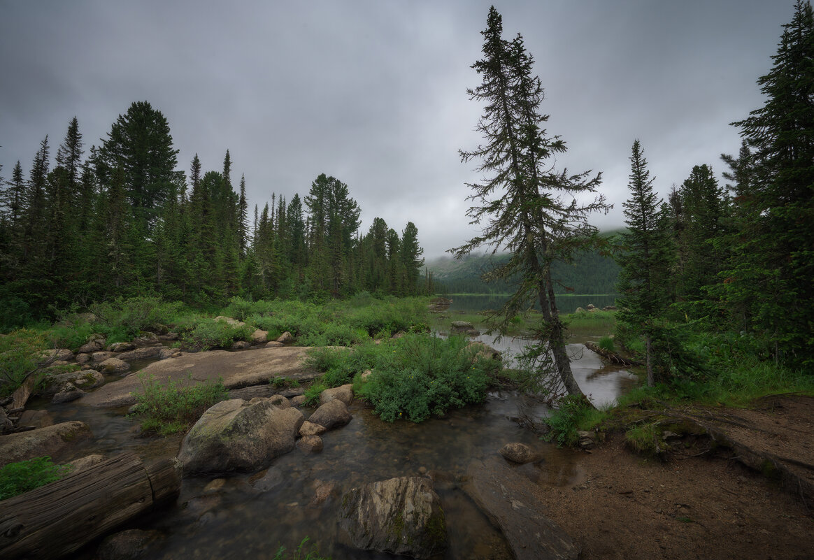 * - Александр Иванов