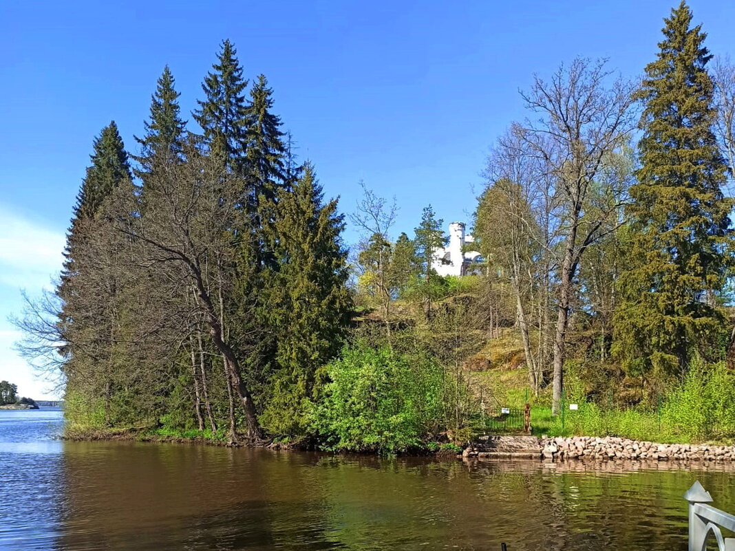 Скальный парк Монрепо в Выборге. Остров Людвигштайн ("Камень Людвига"). - Ольга Довженко