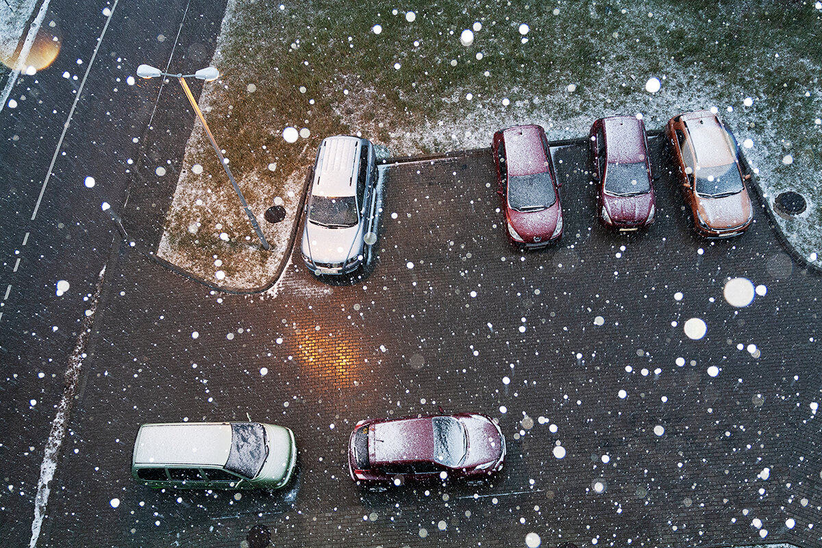 Пионерский - Дмитрий 