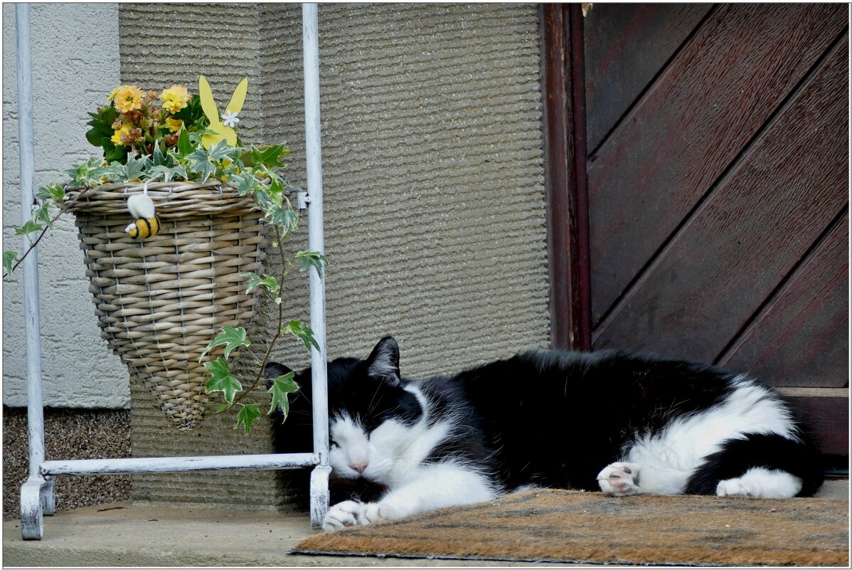ПАУЗА... - Elvira E. 