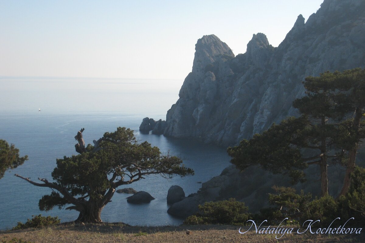 Природа Крыма - Amazing Cosmea